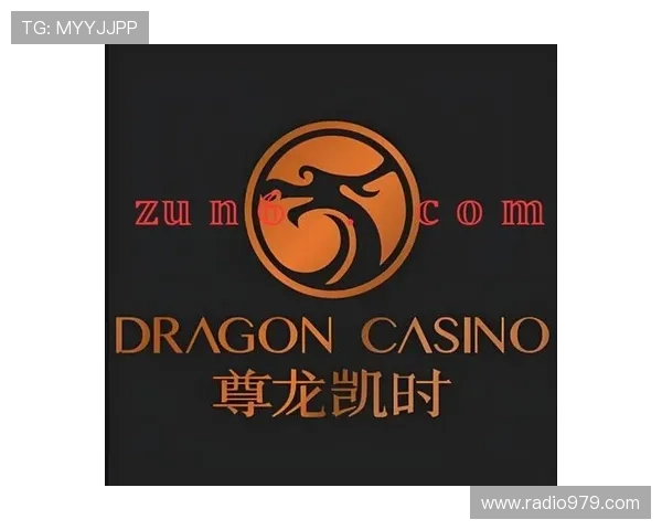 尊龙凯时百家乐官网最新优惠活动不断，丰富的游戏玩法满足不同玩家的娱乐需求